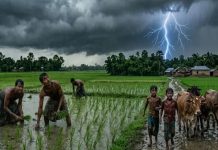 বজ্রপাতে ৭ জেলায় ১৪ জনের মৃত্যু