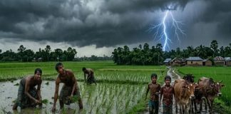 বজ্রপাতে ৭ জেলায় ১৪ জনের মৃত্যু