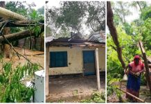 যশোরে কালবৈশাখীর তাণ্ডব : বজ্রপাতে কৃষক নিহত, আহত ২০