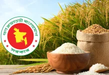৩৬ টাকায় ধান, ৪৯ টাকায় সিদ্ধ চাল কিনবে সরকার