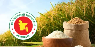 ৩৬ টাকায় ধান, ৪৯ টাকায় সিদ্ধ চাল কিনবে সরকার