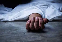 ছোট ভাইয়ের ধাক্কায় প্রাণ গেল বড় ভাইয়ের