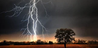 বজ্রপাতে চার জেলায় ৮ জনের প্রাণহানি