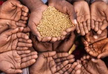 খাদ্য সংকটে পড়া বিশ্বের দুই-তৃতীয়াংশ মানুষই বাংলাদেশসহ ১০ দেশের