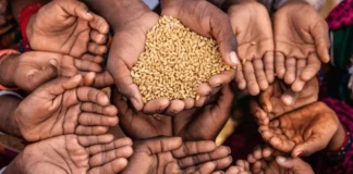 খাদ্য সংকটে পড়া বিশ্বের দুই-তৃতীয়াংশ মানুষই বাংলাদেশসহ ১০ দেশের