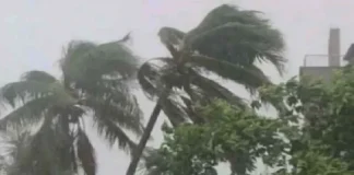 সারাদেশে হতে পারে বজ্রবৃষ্টি