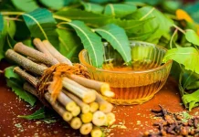 নিমকাঠি দিয়ে দাঁত মাজলে কী উপকার?