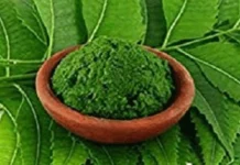 কৃমি নির্মূল করে যে পাতার রস