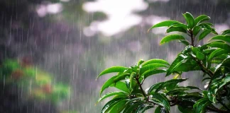 ঈদের দিন সকালে ঢাকাসহ পাঁচ বিভাগে বৃষ্টির আভাস