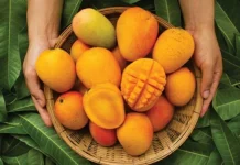 কীভাবে আম খেলে ওজন কমবে?