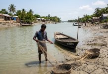নদী-খালে লবণাক্ততা বৃদ্ধি: দক্ষিণাঞ্চলে মৎস্য সম্পদের ভয়াবহ বিপর্যয়
