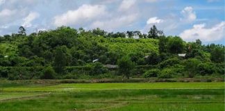 বান্দরবান সীমান্তে মাইন বিস্ফোরণে নিহত ৩