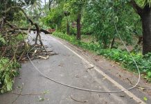 কালবৈশাখীর তাণ্ডবে সাতক্ষীরায় শিশুর মৃত্যু, বিদ্যুৎহীন ২০ হাজার গ্রাহক