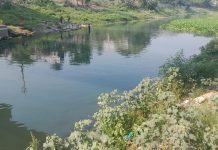 খরস্রোতা মাথাভাঙ্গা এখন সরু খাল