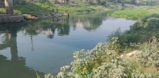 খরস্রোতা মাথাভাঙ্গা এখন সরু খাল