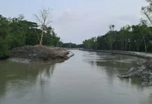 দুই যুগ পরে জোয়ার ভাটা ফিরেছে পূর্ব সুন্দরবনের আড়ুয়ারবেড় ও খড়মা খালে