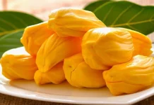 উচ্চ রক্তচাপ কমাতে ভূমিকা রাখে কাঁঠাল!
