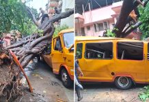 মুম্বাইয়ে স্কুল বাসে ভেঙে পড়ল বিশাল গাছ, হতাহত ১১