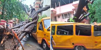 মুম্বাইয়ে স্কুল বাসে ভেঙে পড়ল বিশাল গাছ, হতাহত ১১
