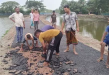 তিন দিনেই উঠে গেল নতুন সড়কের পিচ, সংস্কারকাজ বন্ধ করে দিলেন এলাকাবাসী