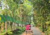 বিশ্বকাপের রঙে রঙিন গ্রাম, মাগুরায় তৈরি ৬৫০ হাত দীর্ঘ ব্রাজিলের পতাকা