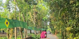 বিশ্বকাপের রঙে রঙিন গ্রাম, মাগুরায় তৈরি ৬৫০ হাত দীর্ঘ ব্রাজিলের পতাকা