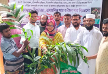 যশোরে প্রায় ৪ হাজার গাছের চারা বিতরণ