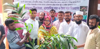 যশোরে প্রায় ৪ হাজার গাছের চারা বিতরণ