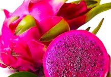 যে ৮ কারণে ড্রাগন ফল খাবেন
