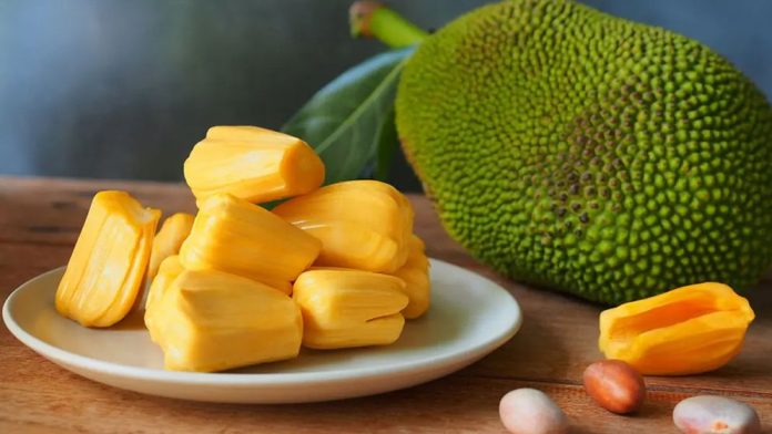 jackfruit-6a2adc23b9598