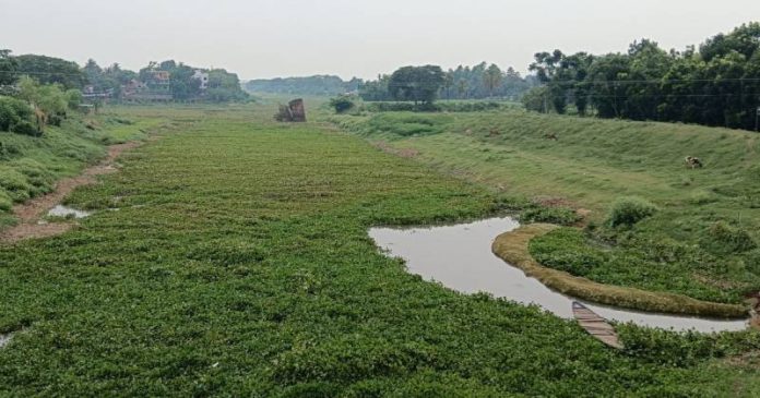 kopotakkho-nod-20260612202805