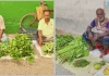 ফজরের পরই প্রাণ ফিরে পায় মাগুরার ‘ডায়াবেটিস বাজার’