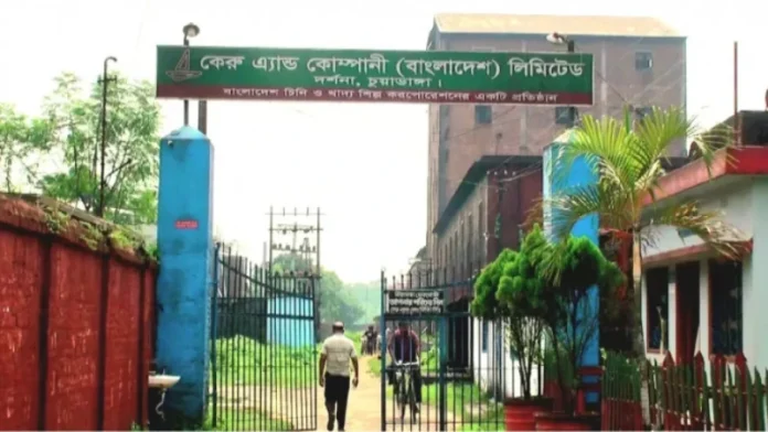 news_1780402837602