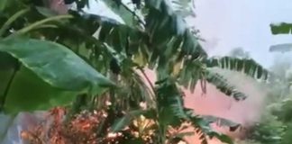 পাবনায় স্কুলছাত্রীকে ধর্ষণ-হত্যার জেরে অভিযুক্তের বাড়িতে আগুন, ৩ জনের প্রাণহানি