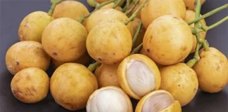 লটকনের উপকারিতা জেনে নিন