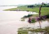 বিপৎসীমার ওপরে তিস্তার পানি, নিম্নাঞ্চল প্লাবিত-বাঁধ ভাঙনের শঙ্কা