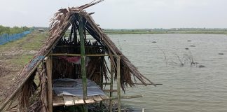পাইকগাছায় ডিসিআর পাওয়ার উদ্দেশ্যে চিংড়ি ঘের দখলের চেষ্টা, ৯৯৯-এ কলে রক্ষা!