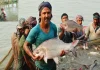 মাছ চাষে বিশ্বসেরা পাঁচে বাংলাদেশ, অভ্যন্তরীণ মাছ আহরণে দ্বিতীয়