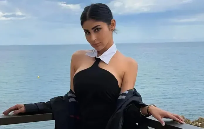 1783228633_Mouniroy