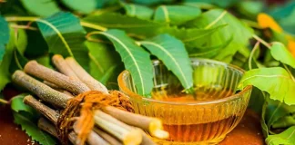 নিমকাঠি দিয়ে দাঁত মাজলে কী উপকার?