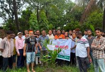 পরিবেশের ভারসাম্য রক্ষা এবং ভবিষ্যৎ প্রজন্মের জন্য বৃক্ষরোপণের কোনো বিকল্প নেই: তুহিন