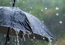 ধেয়ে আসছে বৃষ্টি বলয় ‘ধারা’: টানা ৯ দিন ভারী বর্ষণের পূর্বাভাস