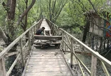 অযত্নে সৌন্দর্য হারাচ্ছে আকাশলীনা ইকো ট্যুরিজম সেন্টারঅযত্নে সৌন্দর্য হারাচ্ছে আকাশলীনা ইকো ট্যুরিজম সেন্টার
