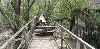 অযত্নে সৌন্দর্য হারাচ্ছে আকাশলীনা ইকো ট্যুরিজম সেন্টারঅযত্নে সৌন্দর্য হারাচ্ছে আকাশলীনা ইকো ট্যুরিজম সেন্টার