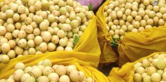 বর্ষার সুস্বাদু ফল লটকন, জানুন খাওয়ার নানাবিধ উপকারিতা