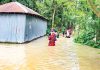 ভারী বৃষ্টিতে বাড়ছে নদ-নদীর পানি, উত্তর-দক্ষিণে বন্যার আশঙ্কা