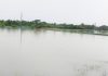 টানা বৃষ্টিতে দিঘলিয়ায় মৎস্য খাতে দুই কোটি টাকার ক্ষতি