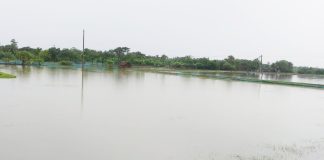 টানা বৃষ্টিতে দিঘলিয়ায় মৎস্য খাতে দুই কোটি টাকার ক্ষতি