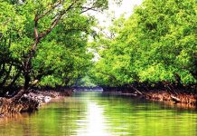 সুন্দরবনে ৩মাসের নিষেধাজ্ঞা: উপার্জনের পথ বন্ধ, পরিবার নিয়ে চরম দিশেহারা কয়রার ১২ হাজার বনজীবী
