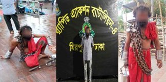 ‘শিকল সাইজি’ সেজেও পার পেলেন না লিটন